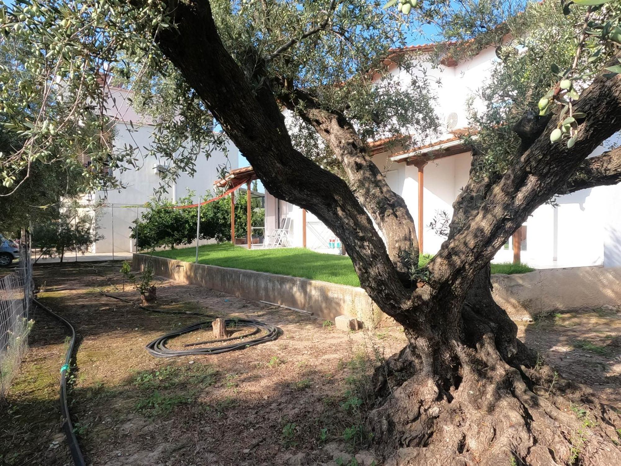 Spiti Ostria Villa Aigio Eksteriør billede