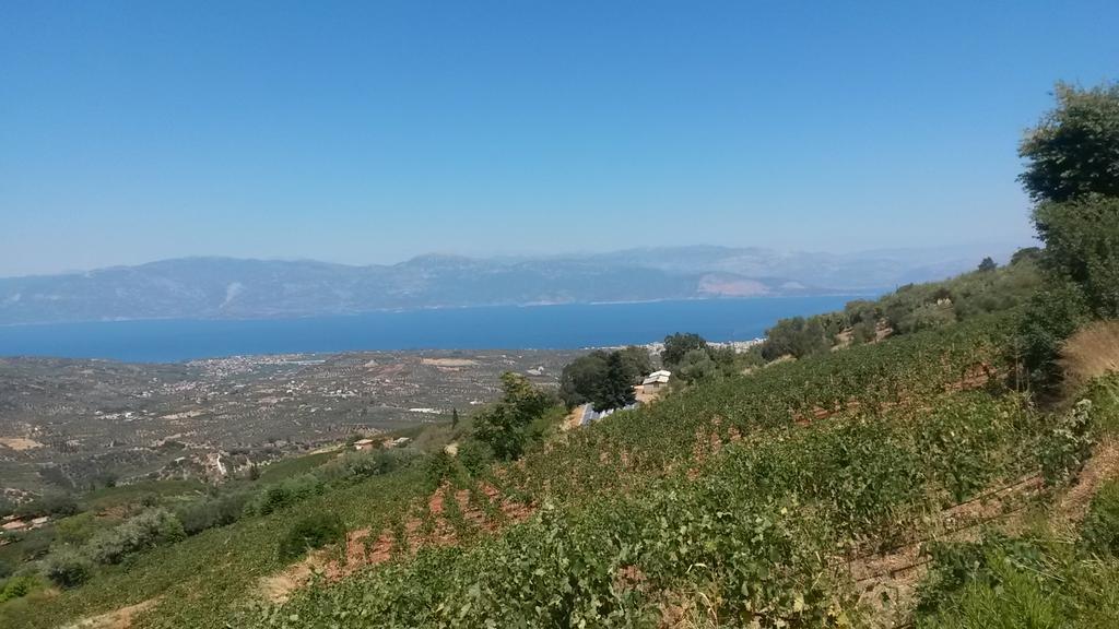 Spiti Ostria Villa Aigio Eksteriør billede